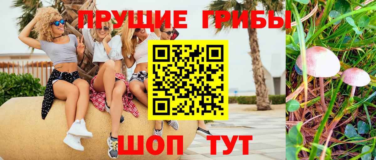 Псилоцибиновые грибы Psilocybe  даркнет сайт  Прокопьевск  Вход с VPN 